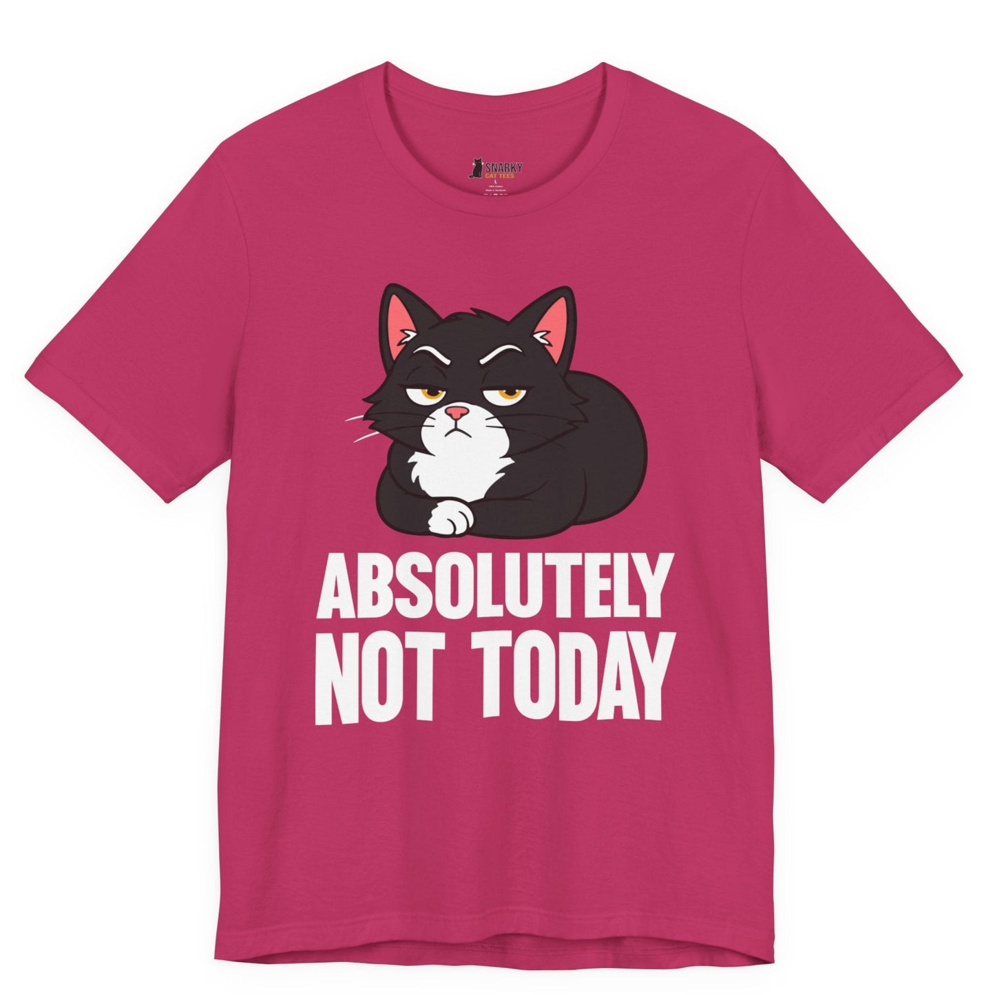Absolutely Not Today Loaf Cat T-Shirt
