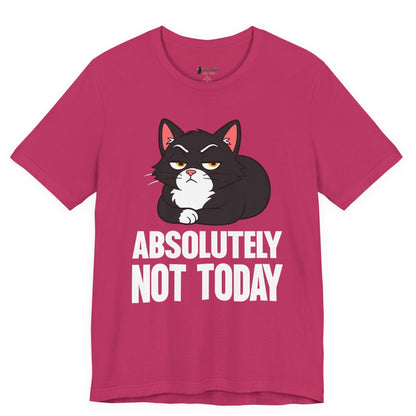 Absolutely Not Today Loaf Cat T-Shirt