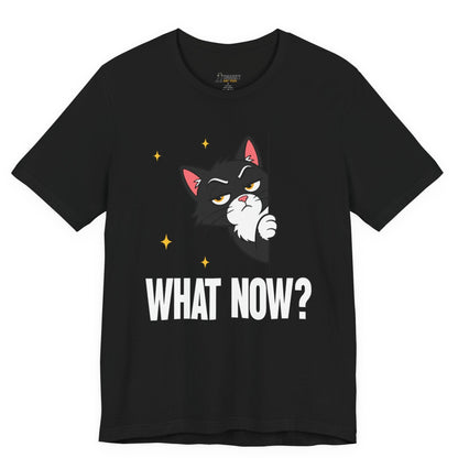 What Now Peeking Cat T-Shirt