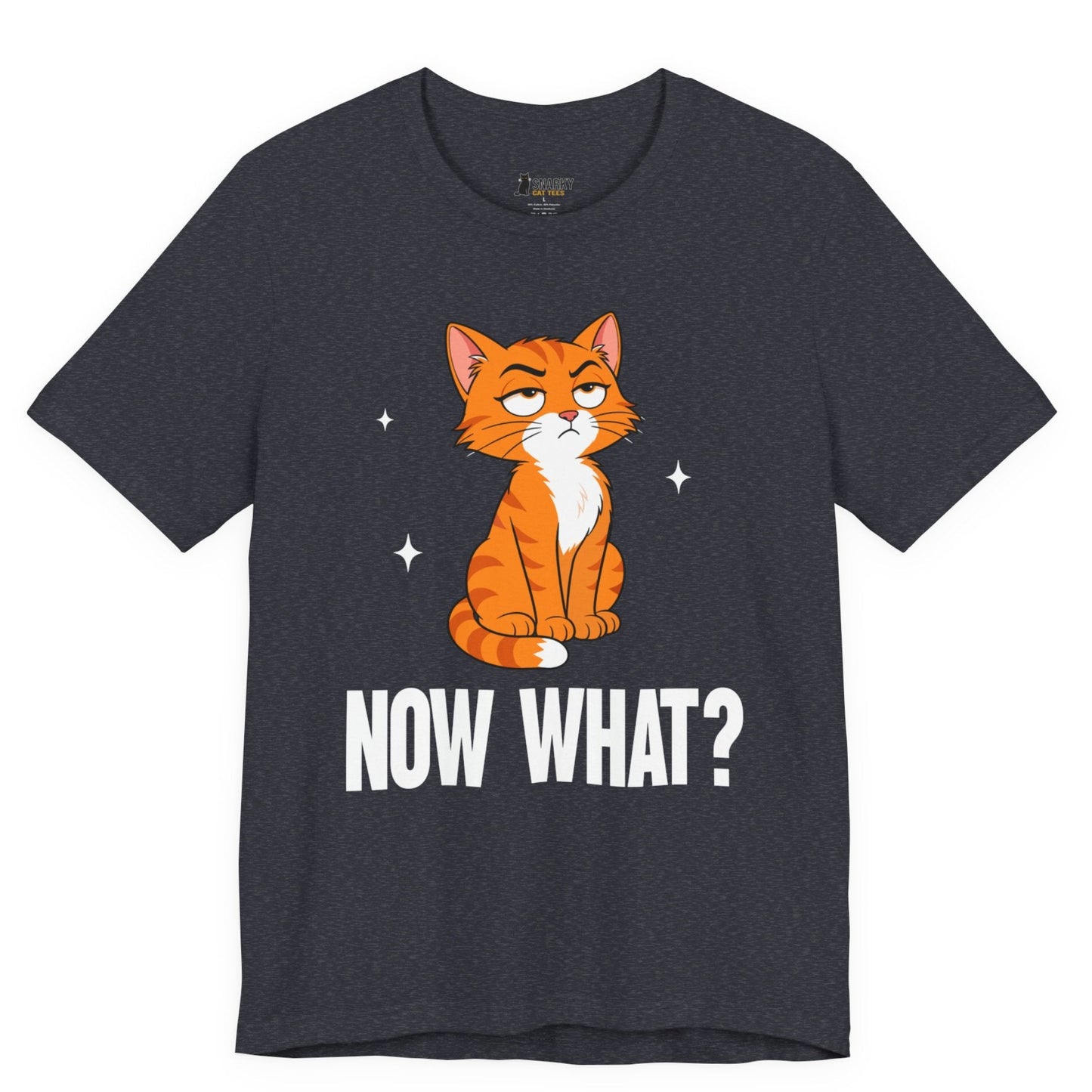 Now What Judgy Cat T-Shirt