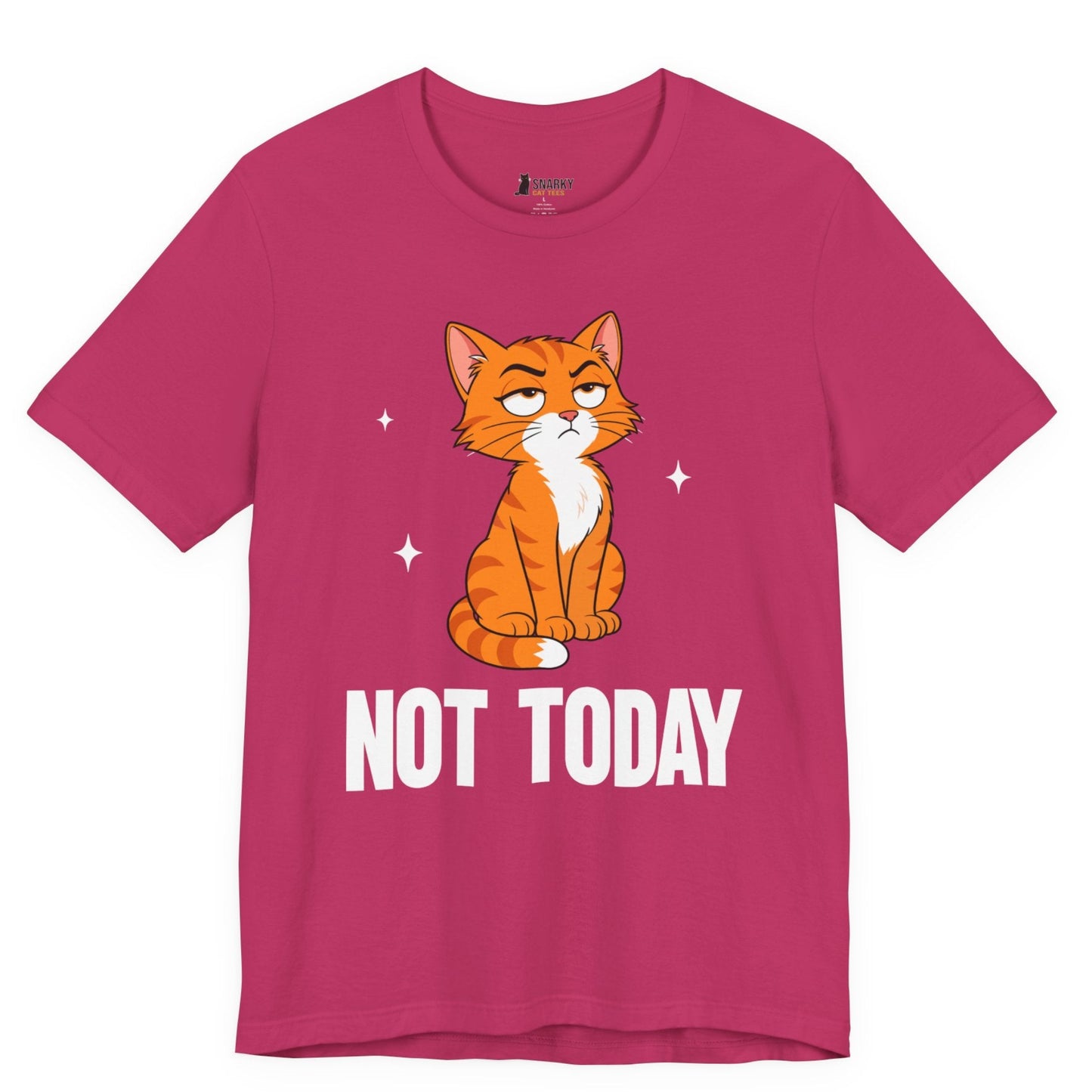 Not Today Judgy Cat T-Shirt