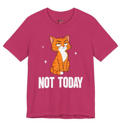 Not Today Judgy Cat T-Shirt