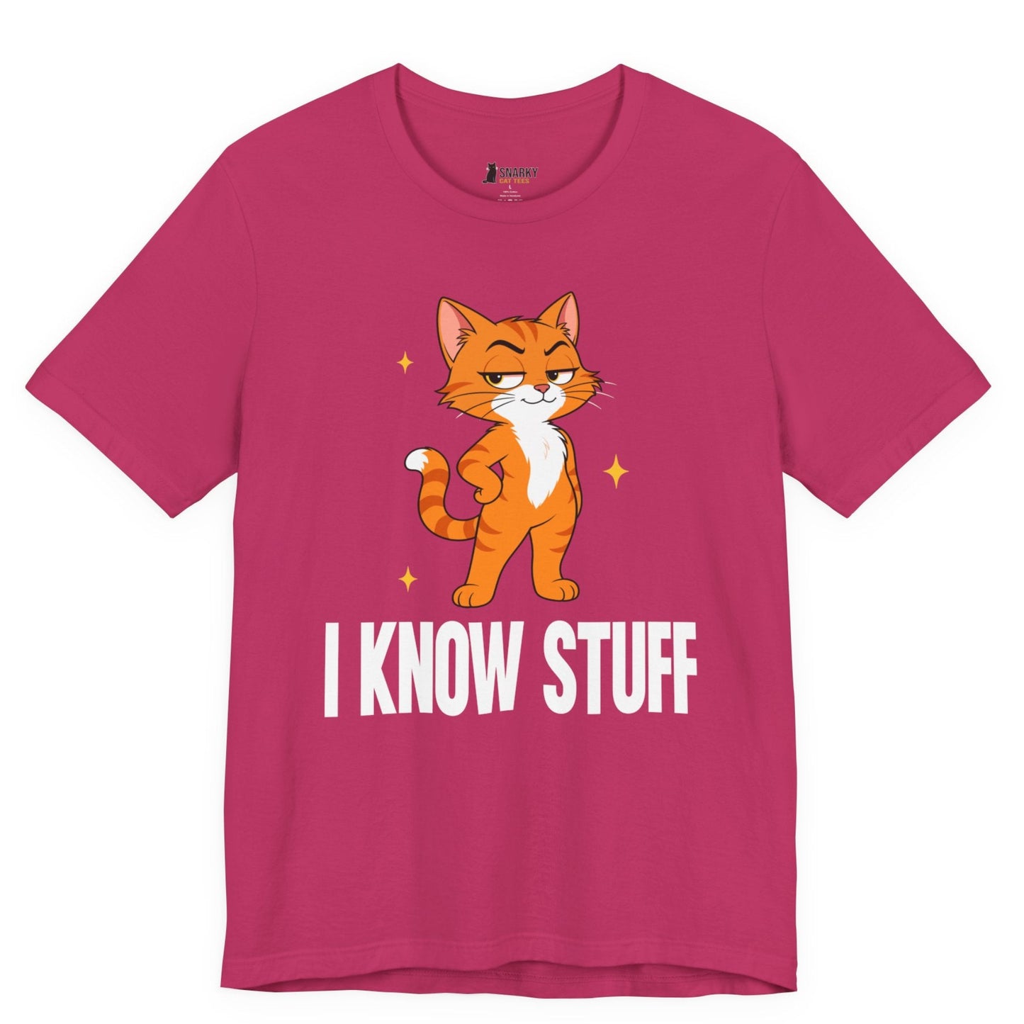 I Know Stuff Judgy Cat T-Shirt
