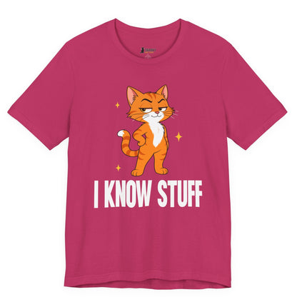 I Know Stuff Judgy Cat T-Shirt
