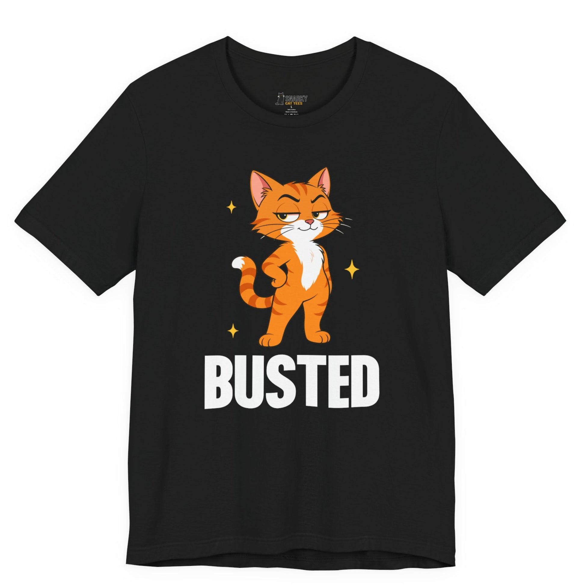Snarky cat t-shirt with Busted slogan and standing orange cat graphic on black shirt