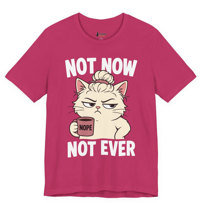 Not Now Not Ever Messy Bun Cat T-Shirt