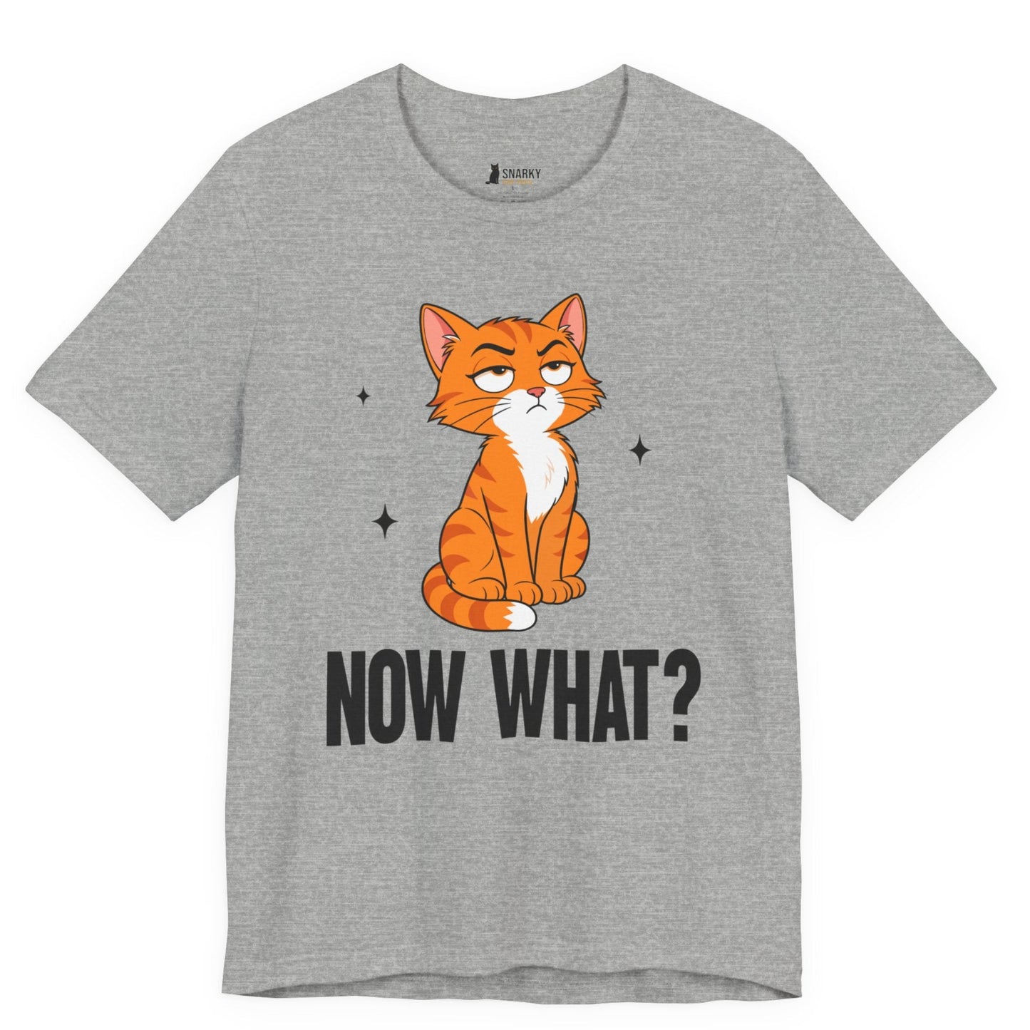 Now What Judgy Cat T-Shirt