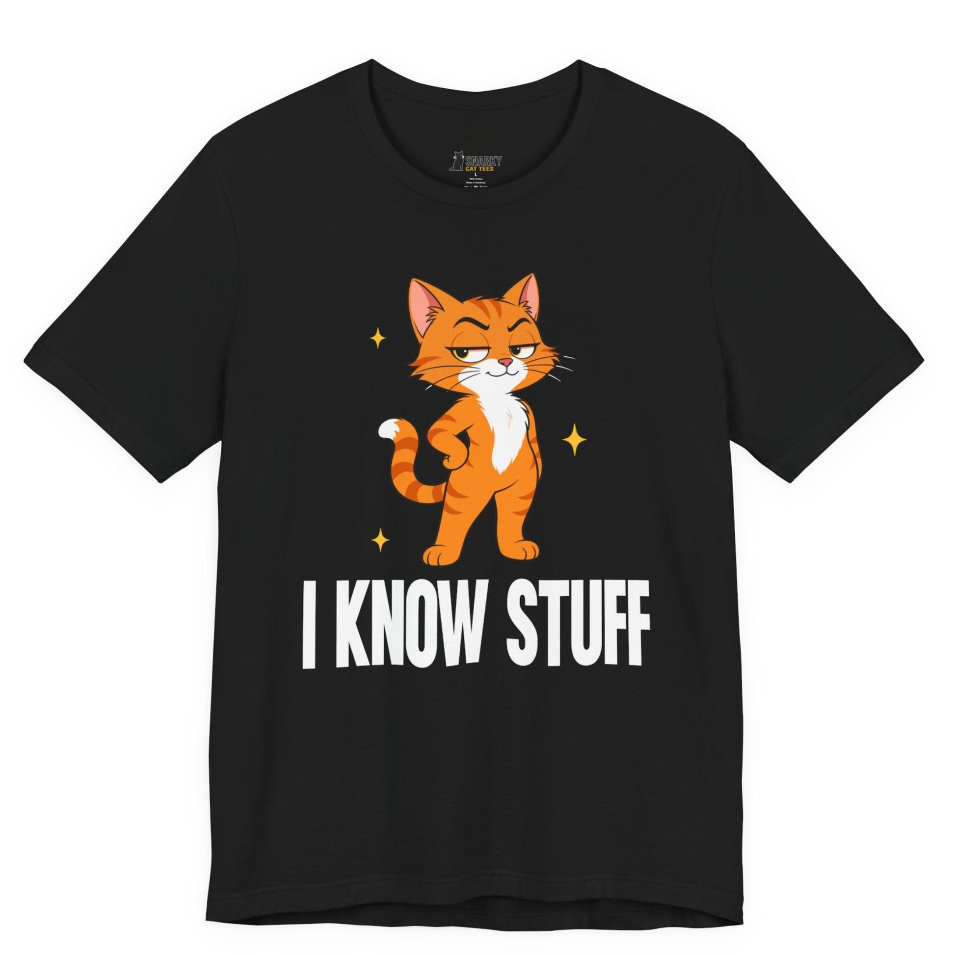Snarky cat t-shirt with I Know Stuff slogan and standing orange cat graphic on black shirt