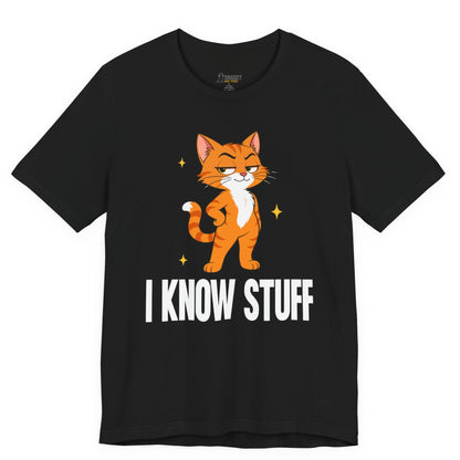 Snarky cat t-shirt with I Know Stuff slogan and standing orange cat graphic on black shirt