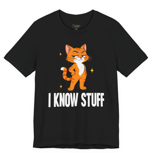 Snarky cat t-shirt with I Know Stuff slogan and standing orange cat graphic on black shirt