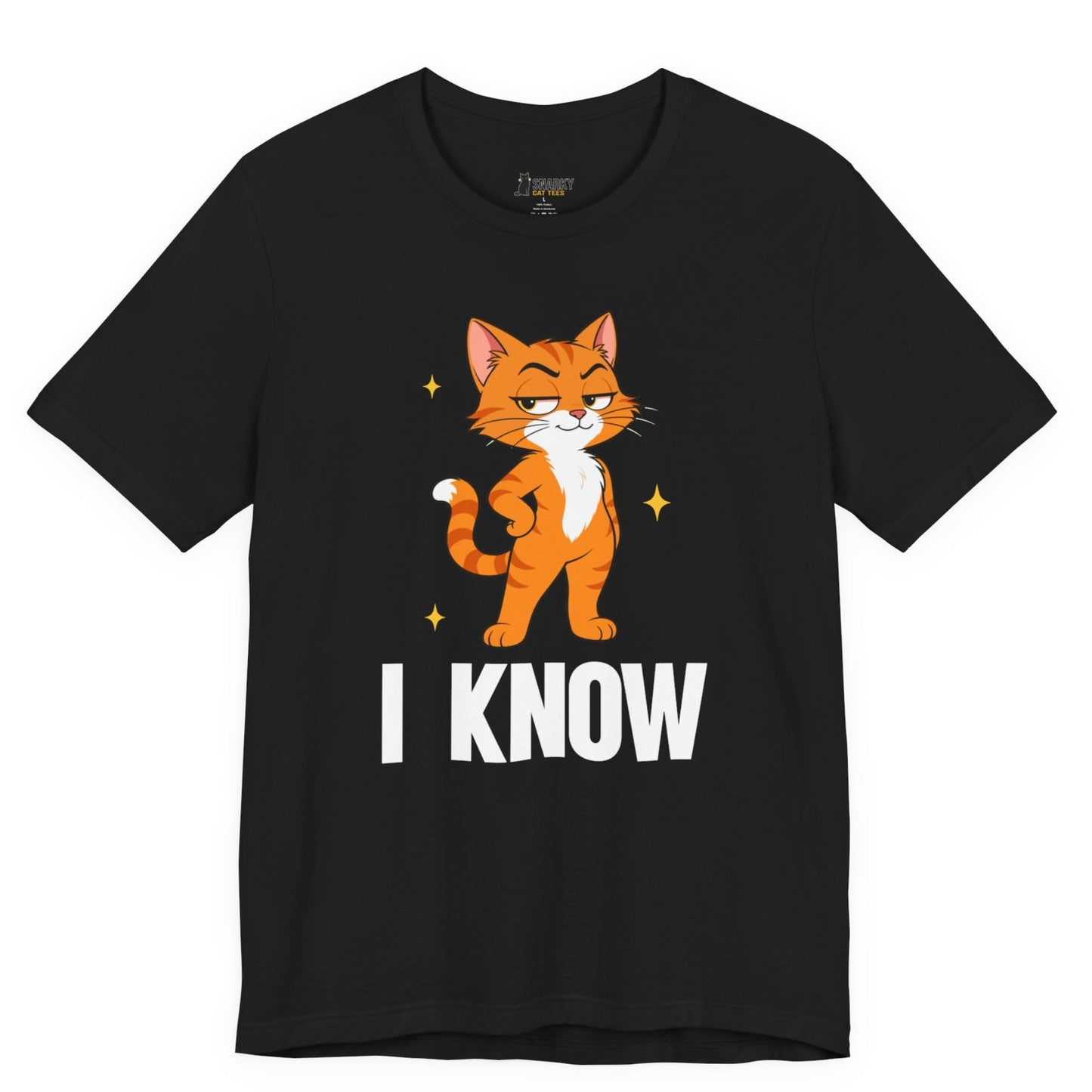 Snarky cat t-shirt with I Know slogan and standing orange cat graphic on black shirt