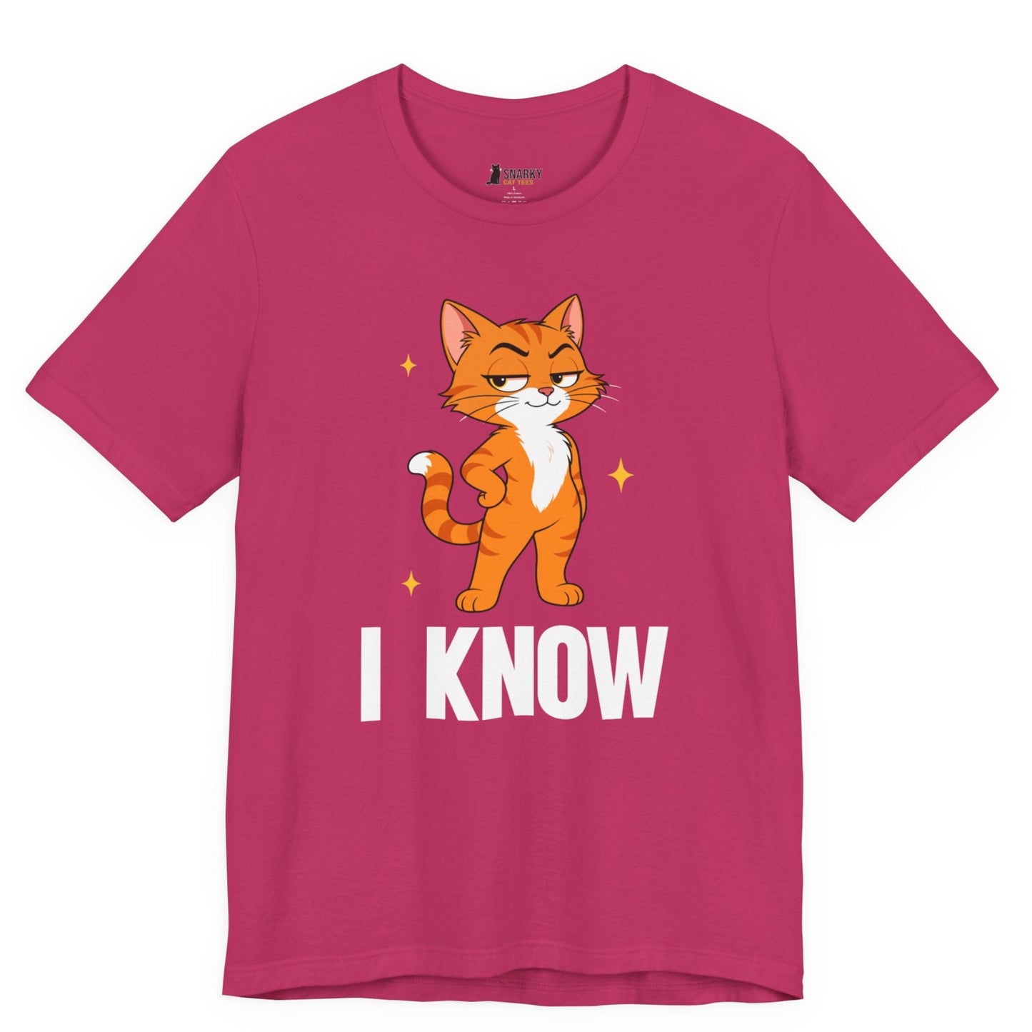I Know Judgy Cat T-Shirt