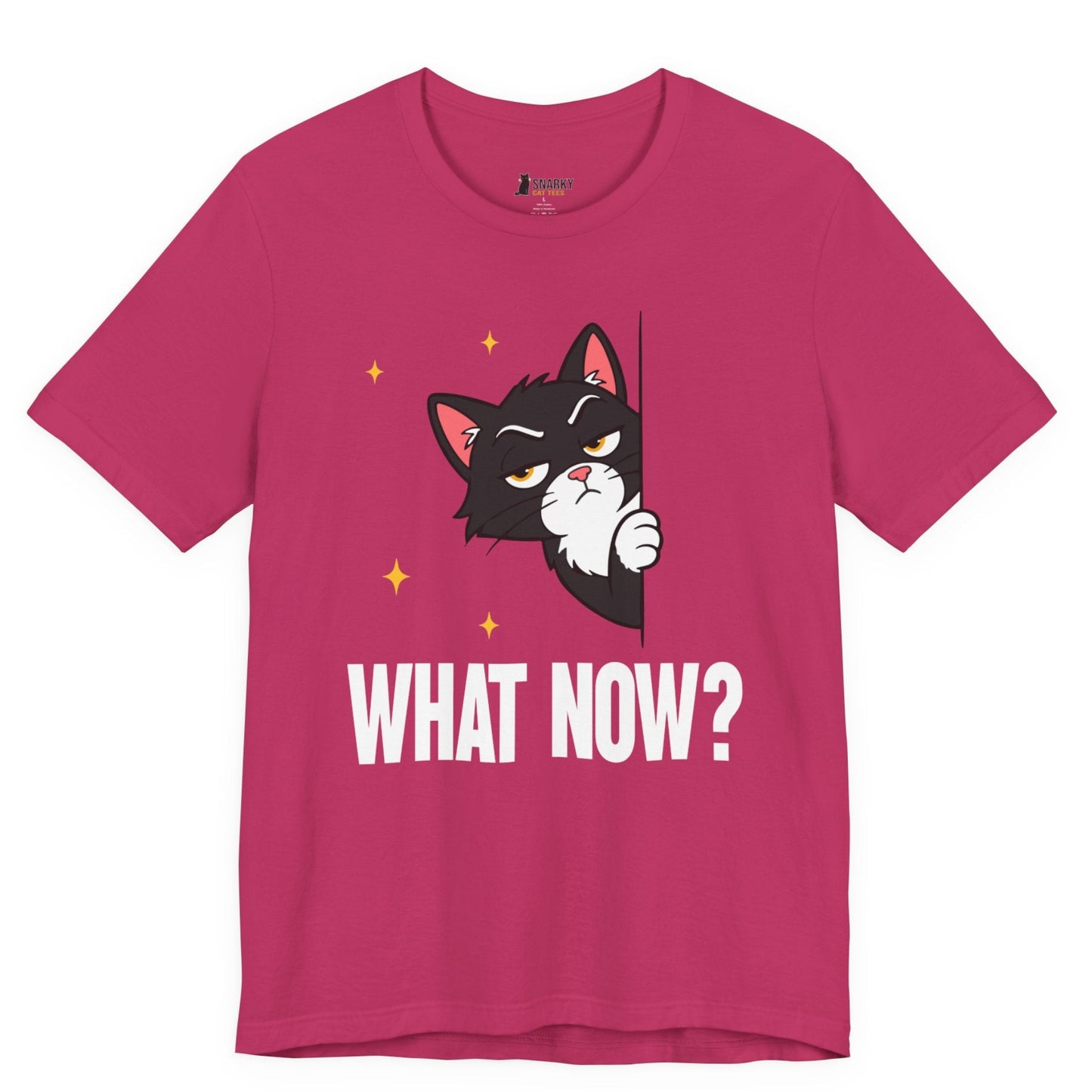 What Now Peeking Cat T-Shirt