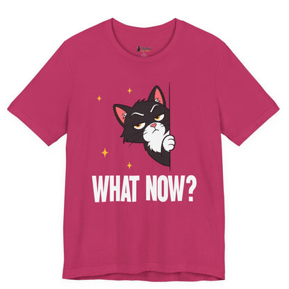 What Now Peeking Cat T-Shirt