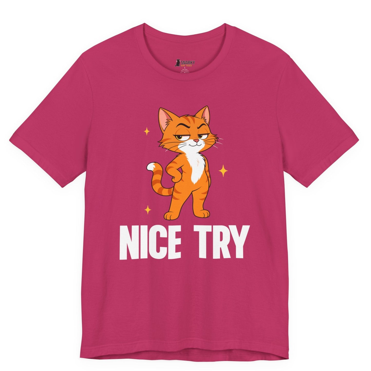 Nice Try Standing Cat T-Shirt