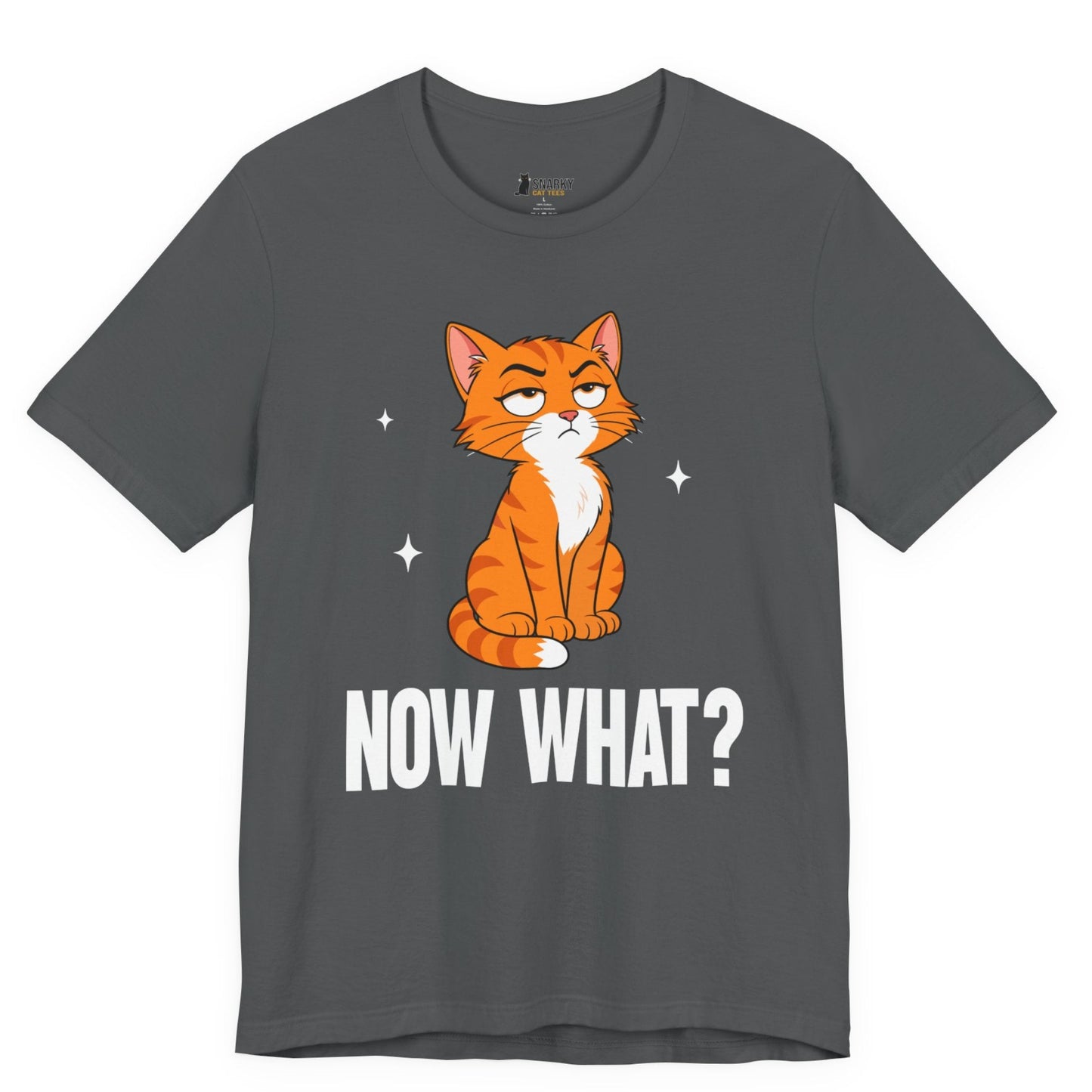 Now What Judgy Cat T-Shirt