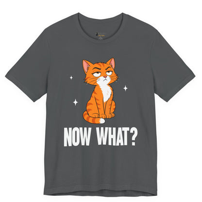 Now What Judgy Cat T-Shirt