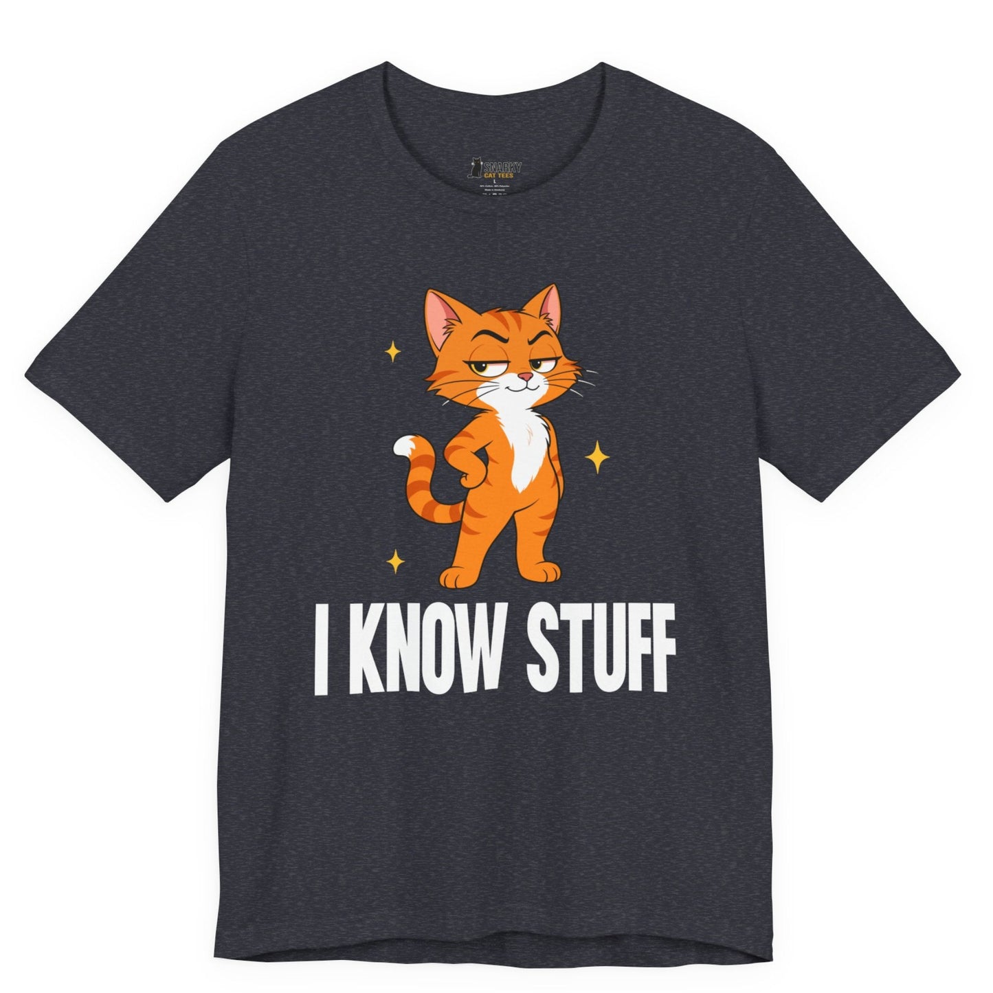 I Know Stuff Judgy Cat T-Shirt