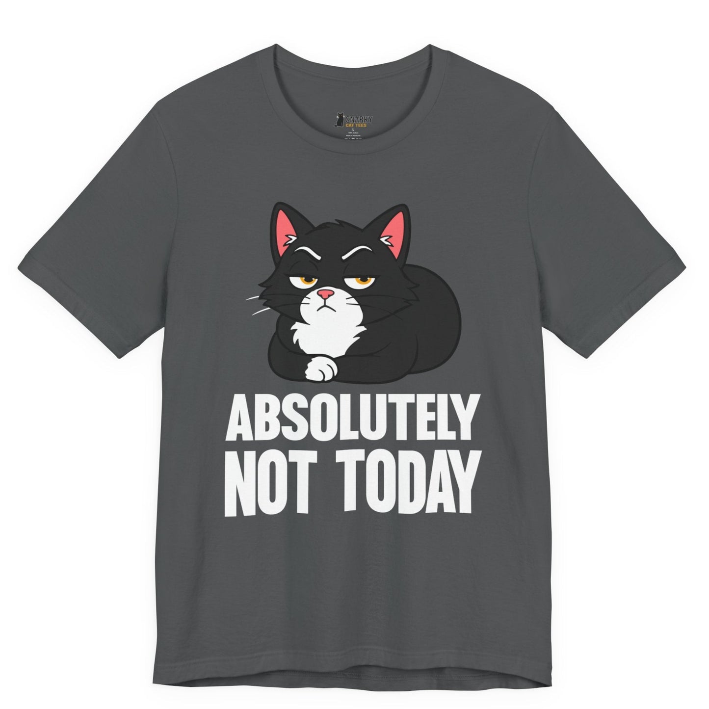 Funny cat t-shirt with Absolutely Not Today slogan and black loaf cat graphic on gray shirt