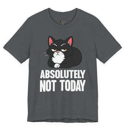 Funny cat t-shirt with Absolutely Not Today slogan and black loaf cat graphic on gray shirt