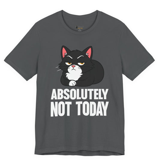 Funny cat t-shirt with Absolutely Not Today slogan and black loaf cat graphic on gray shirt