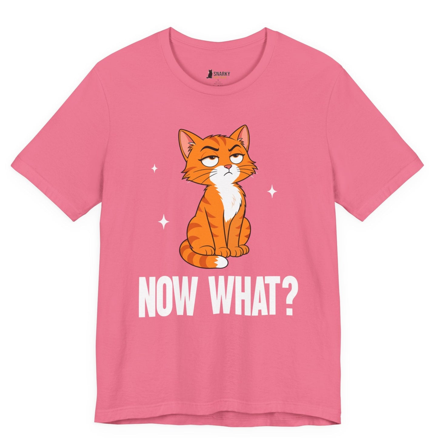 Now What Judgy Cat T-Shirt