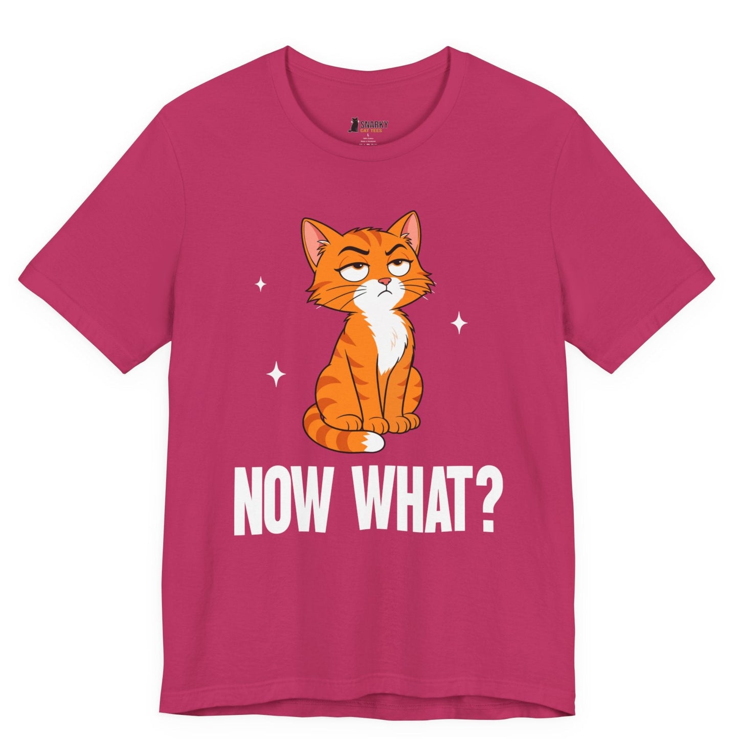 Now What Judgy Cat T-Shirt