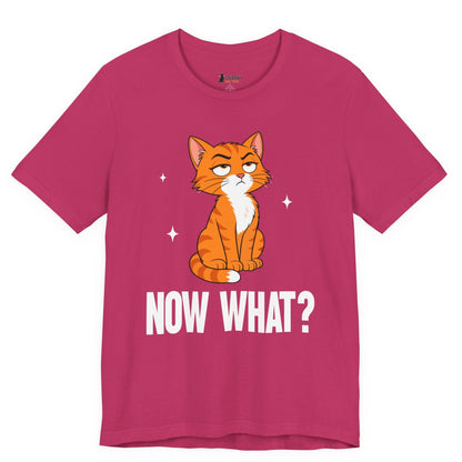 Now What Judgy Cat T-Shirt