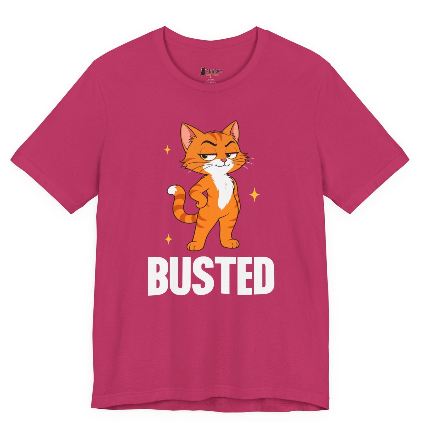 Busted Judgy Cat T-Shirt
