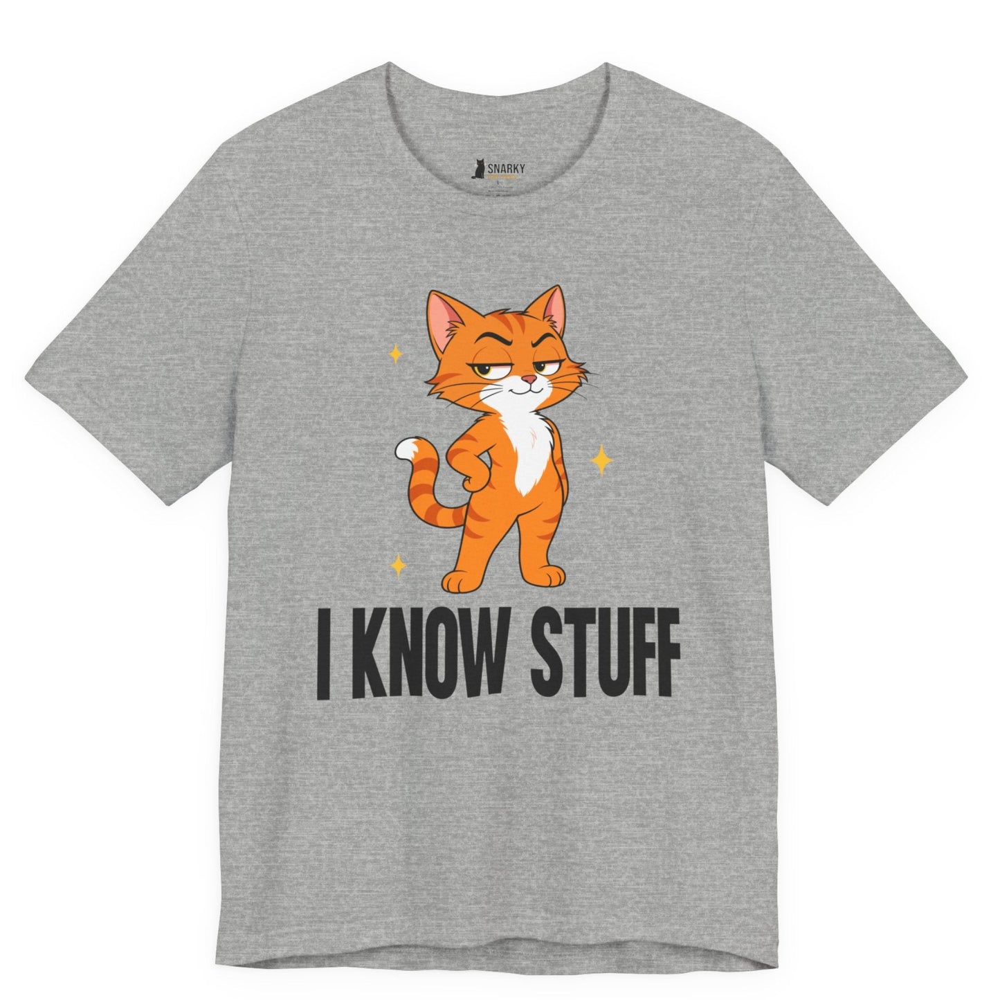 I Know Stuff Judgy Cat T-Shirt