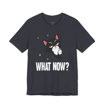 What Now Peeking Cat T-Shirt