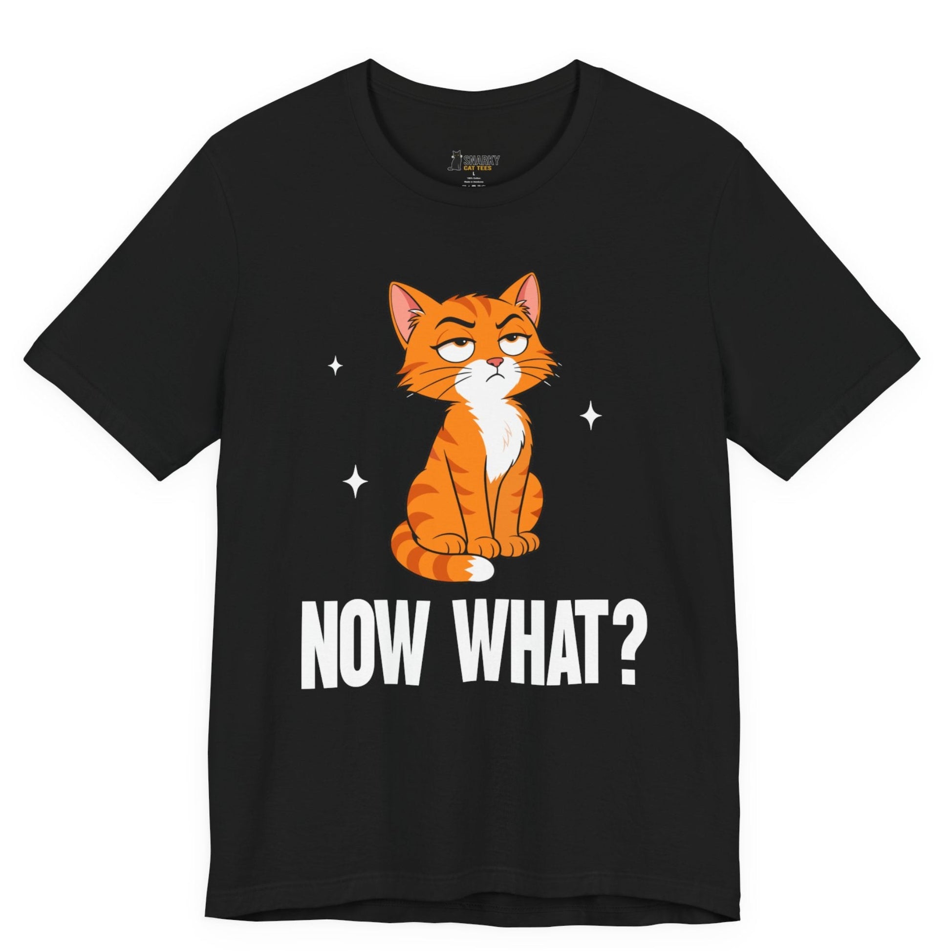 Snarky cat t-shirt with Now What slogan and seated orange cat graphic on black shirt