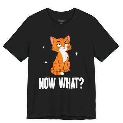 Snarky cat t-shirt with Now What slogan and seated orange cat graphic on black shirt