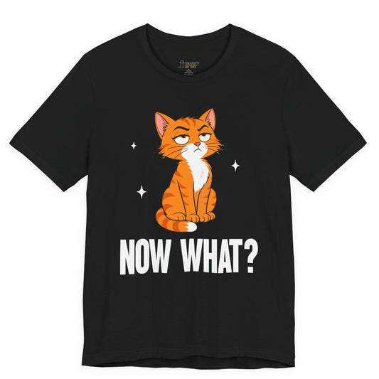 Snarky cat t-shirt with Now What slogan and seated orange cat graphic on black shirt