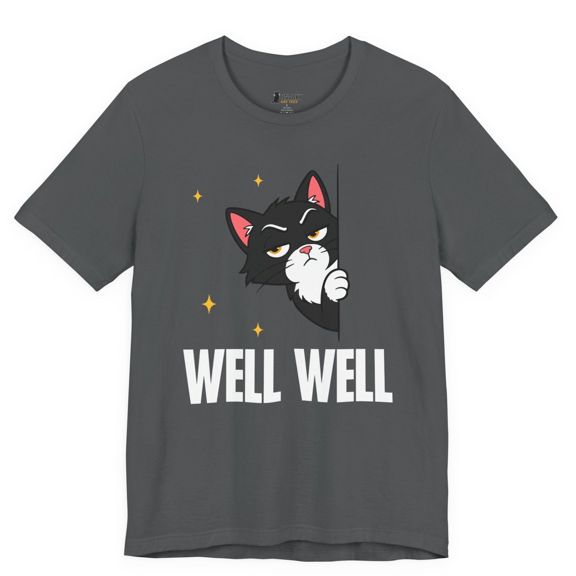 Snarky cat t-shirt with Well Well slogan and peeking black cat graphic on gray shirt