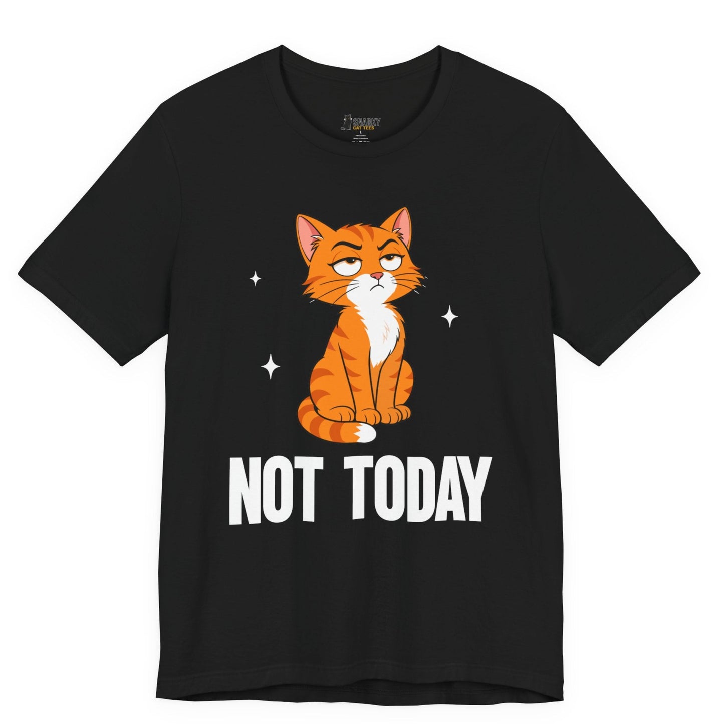 Sarcastic cat t-shirt with Not Today slogan and seated orange cat graphic on black shirt