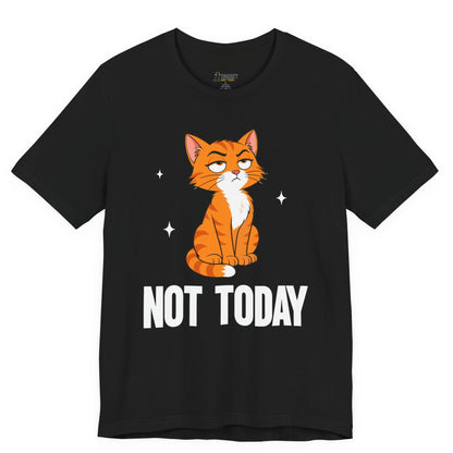 Sarcastic cat t-shirt with Not Today slogan and seated orange cat graphic on black shirt