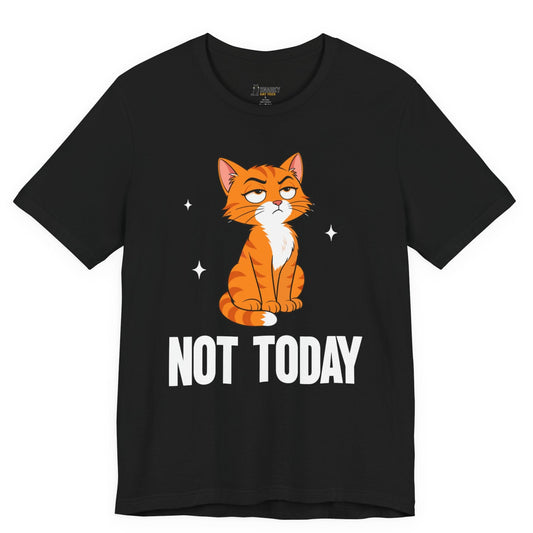 Sarcastic cat t-shirt with Not Today slogan and seated orange cat graphic on black shirt