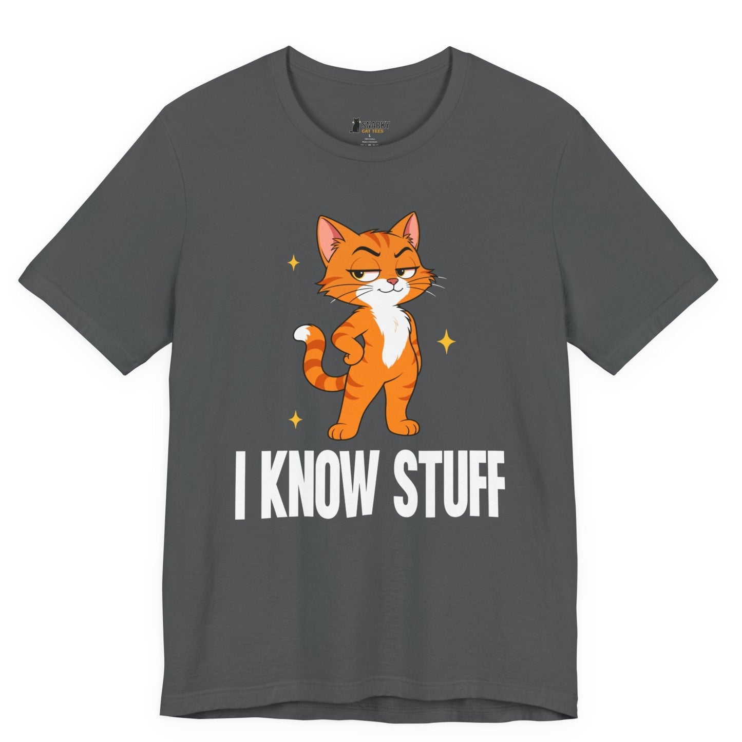 I Know Stuff Judgy Cat T-Shirt