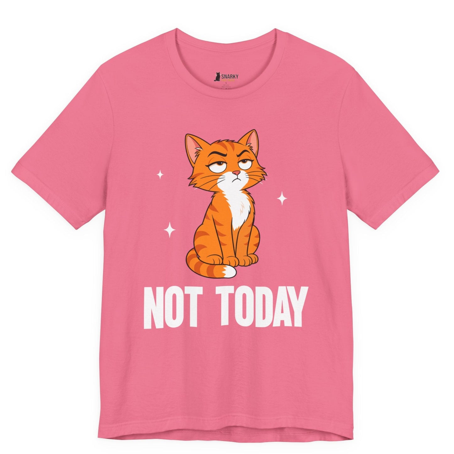 Not Today Judgy Cat T-Shirt