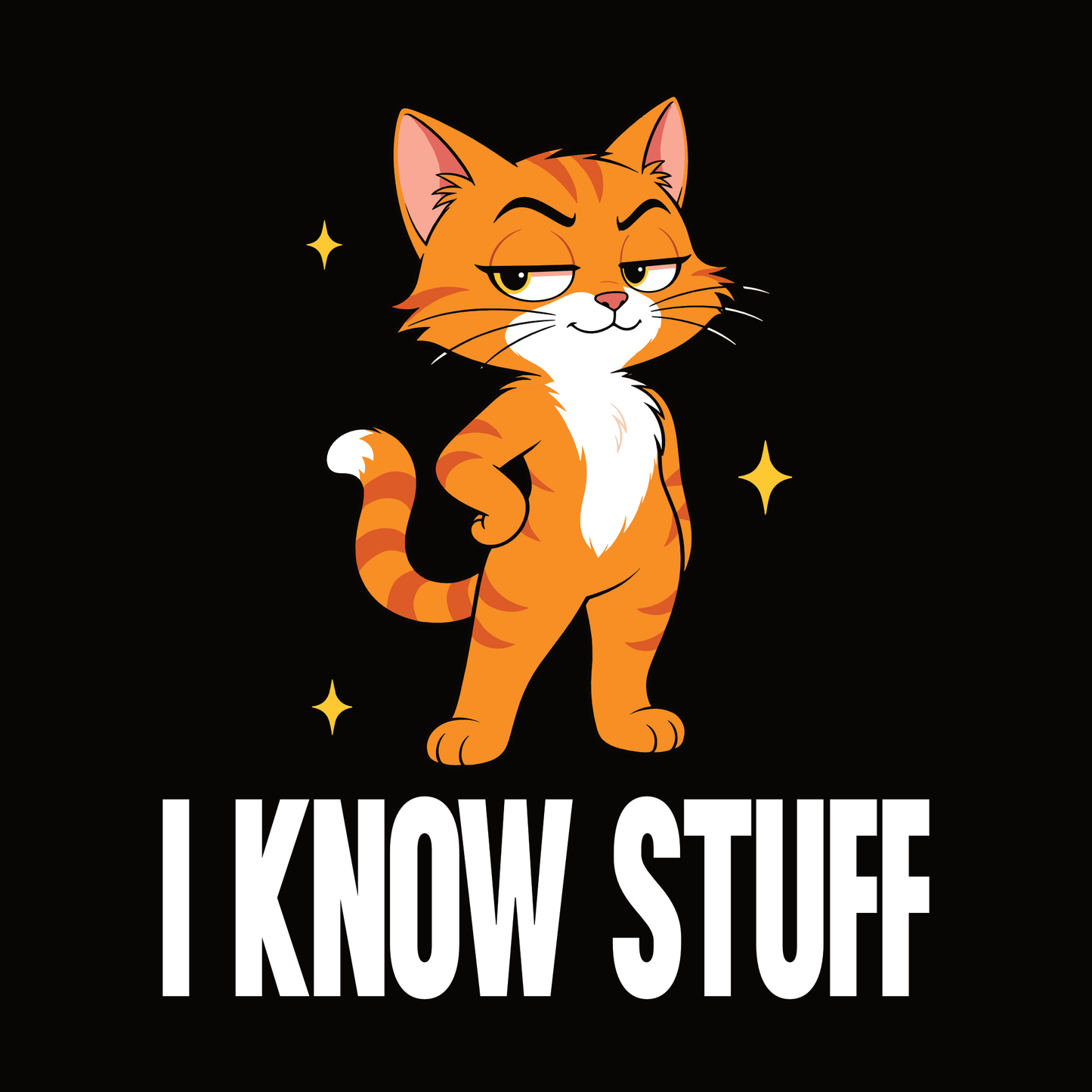 I Know Stuff Judgy Cat T-Shirt design with standing orange cat graphic and bold text