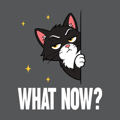 What Now Peeking Cat T-Shirt design with peeking black cat graphic and bold text